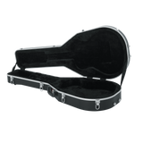 Case for Taylor GS-Mini