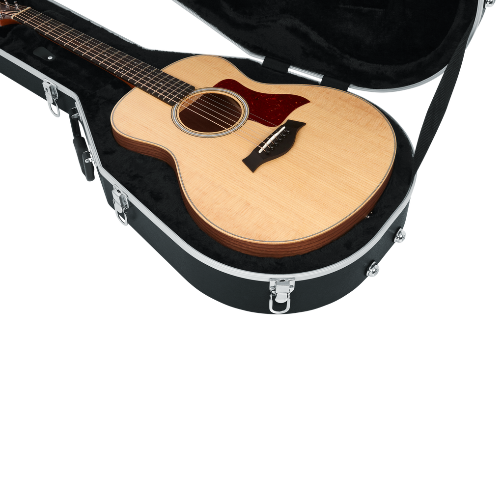 Case for Taylor GS-Mini