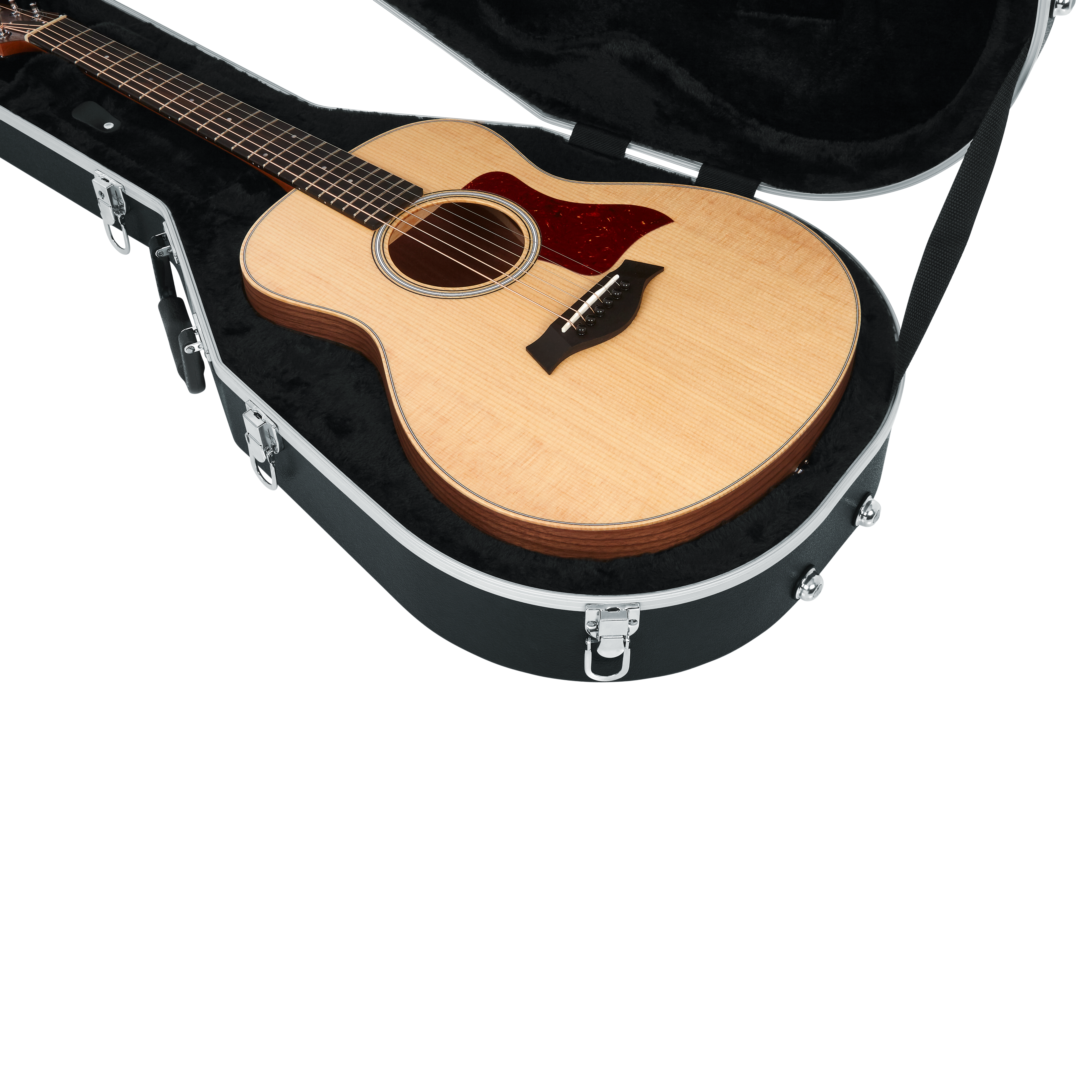 Case for Taylor GS-Mini