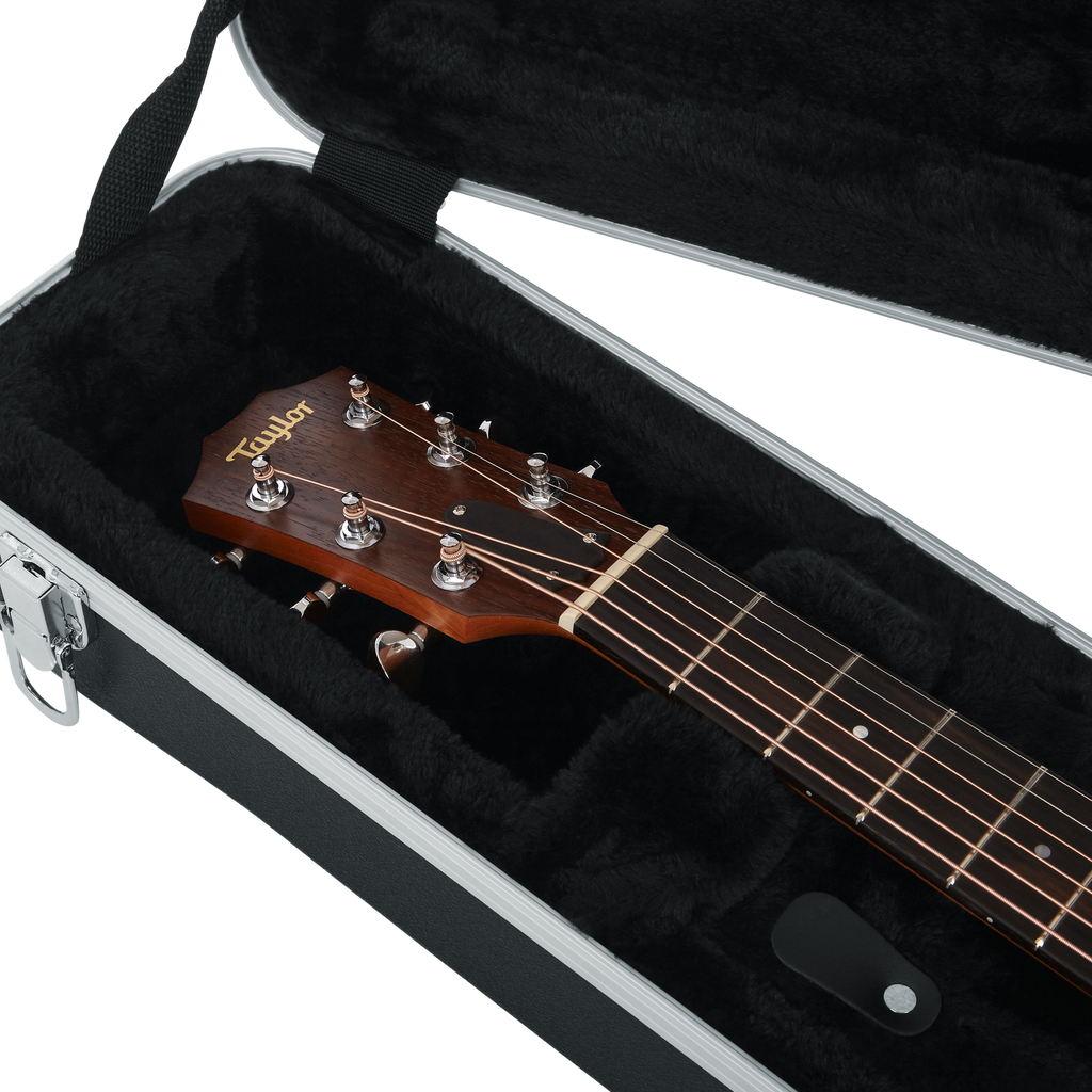 Case for Taylor GS-Mini