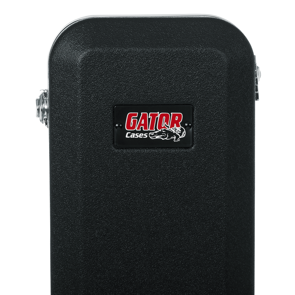 Case for Taylor GS-Mini