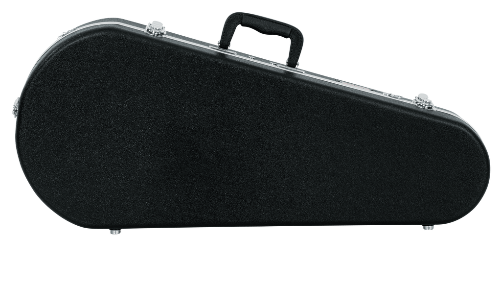 Mandolin Case