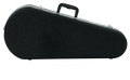 Mandolin Case