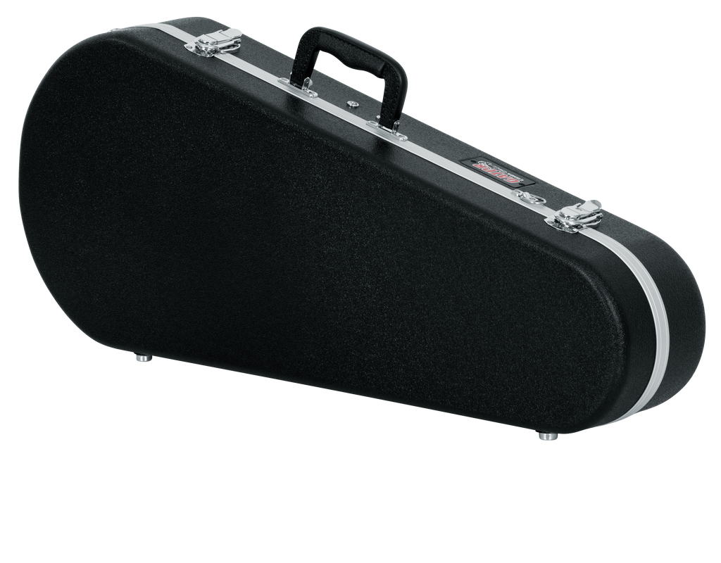 Mandolin Case
