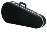 Mandolin Case