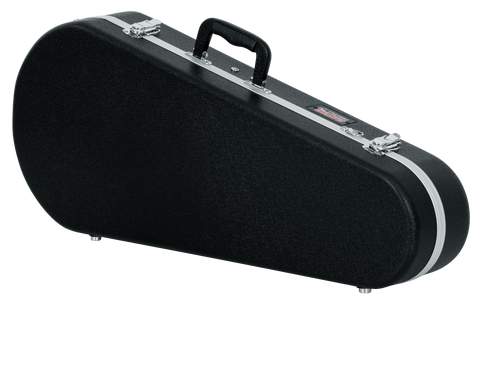 Mandolin Case