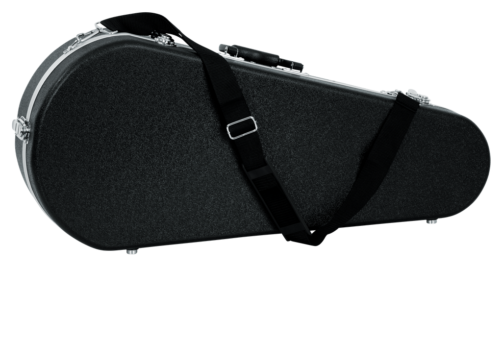 Mandolin Case