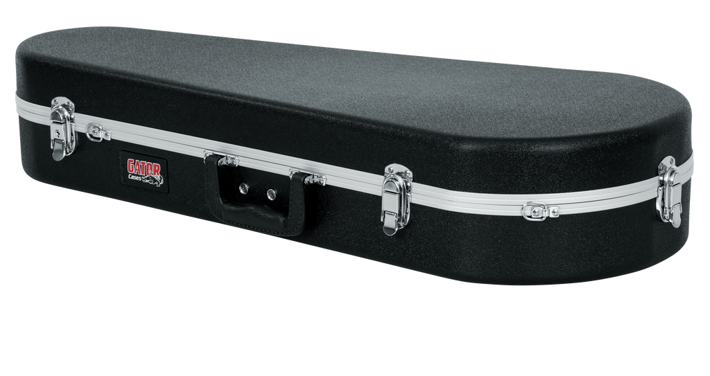 Mandolin Case