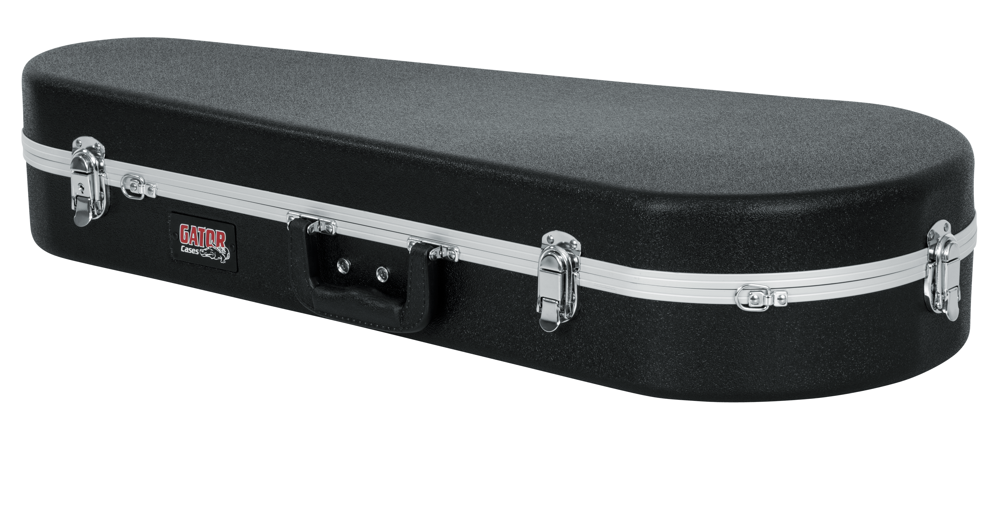 Mandolin Case