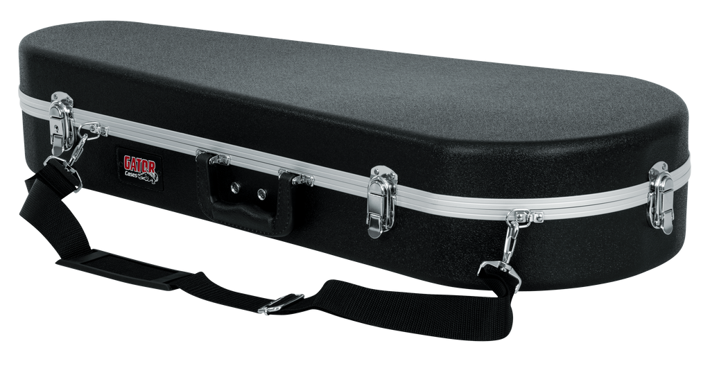 Mandolin Case