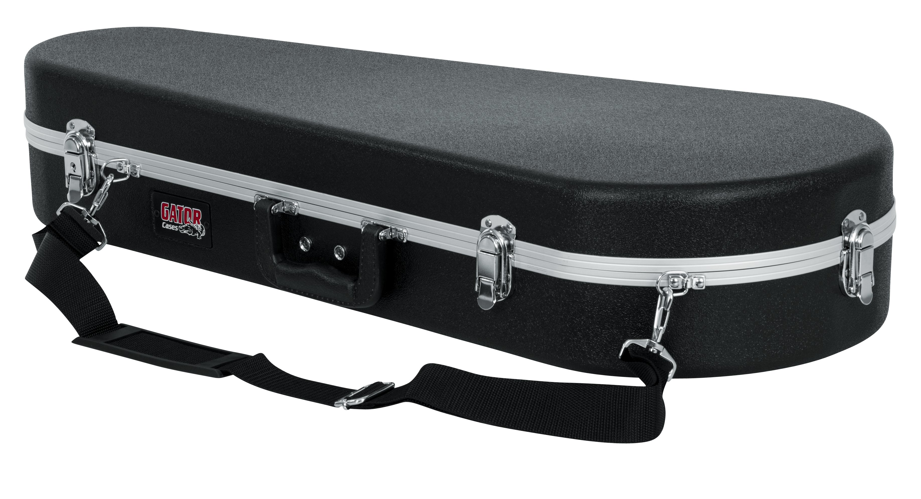 Mandolin Case