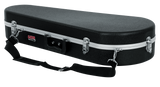 Mandolin Case