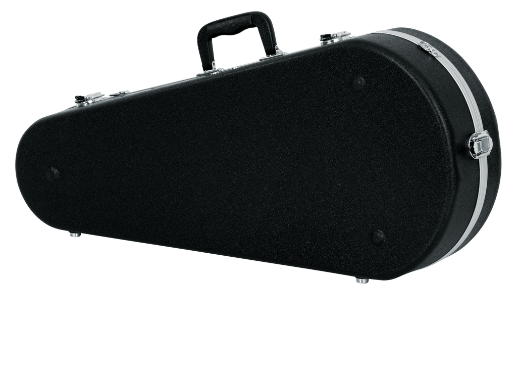Mandolin Case