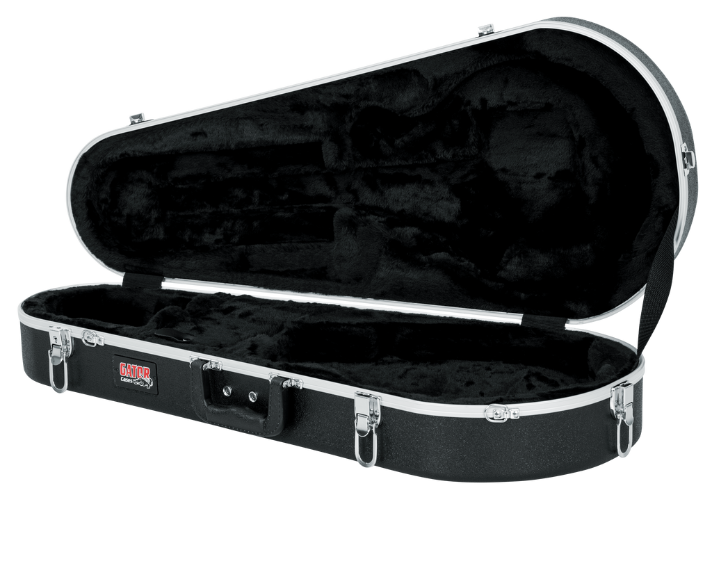 Mandolin Case