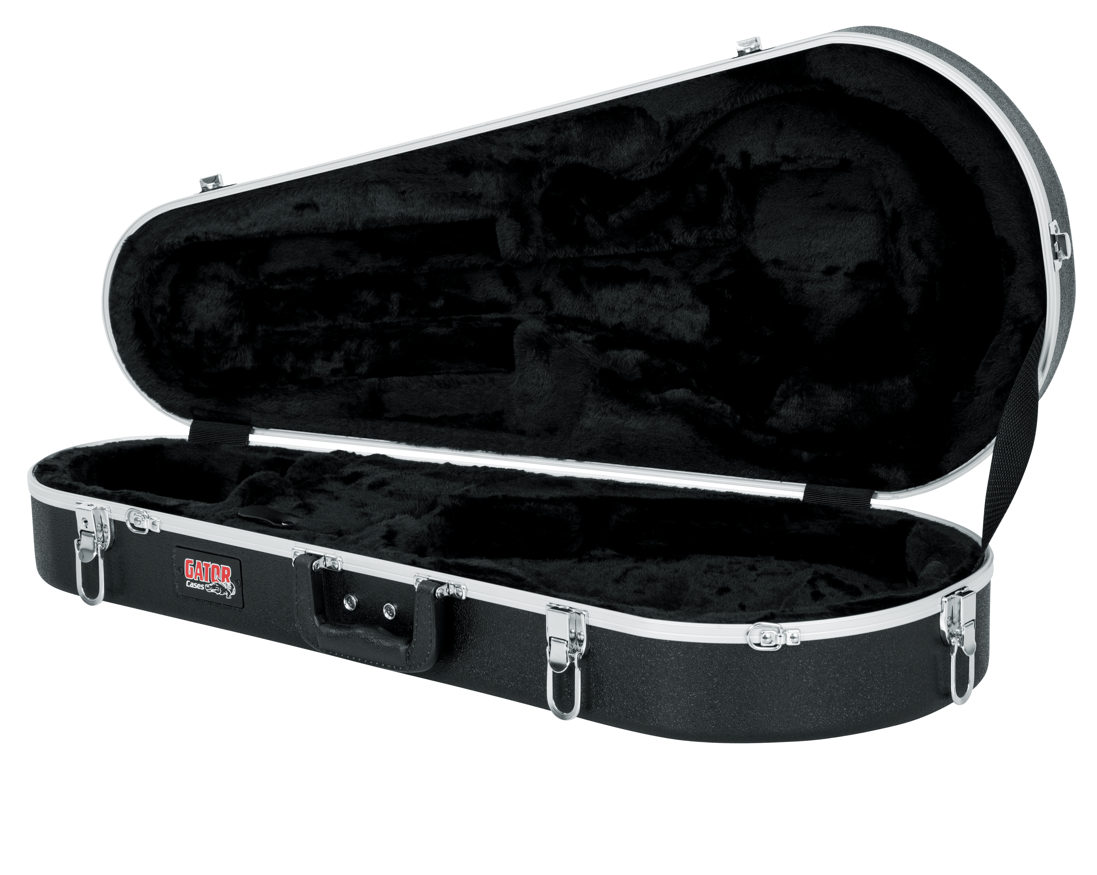 Mandolin Case