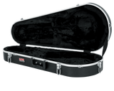 Mandolin Case