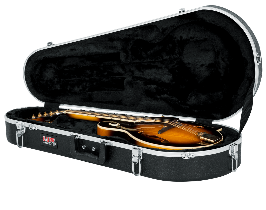 Mandolin Case