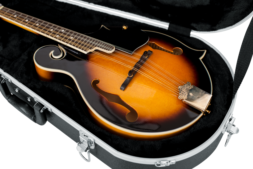 Mandolin Case