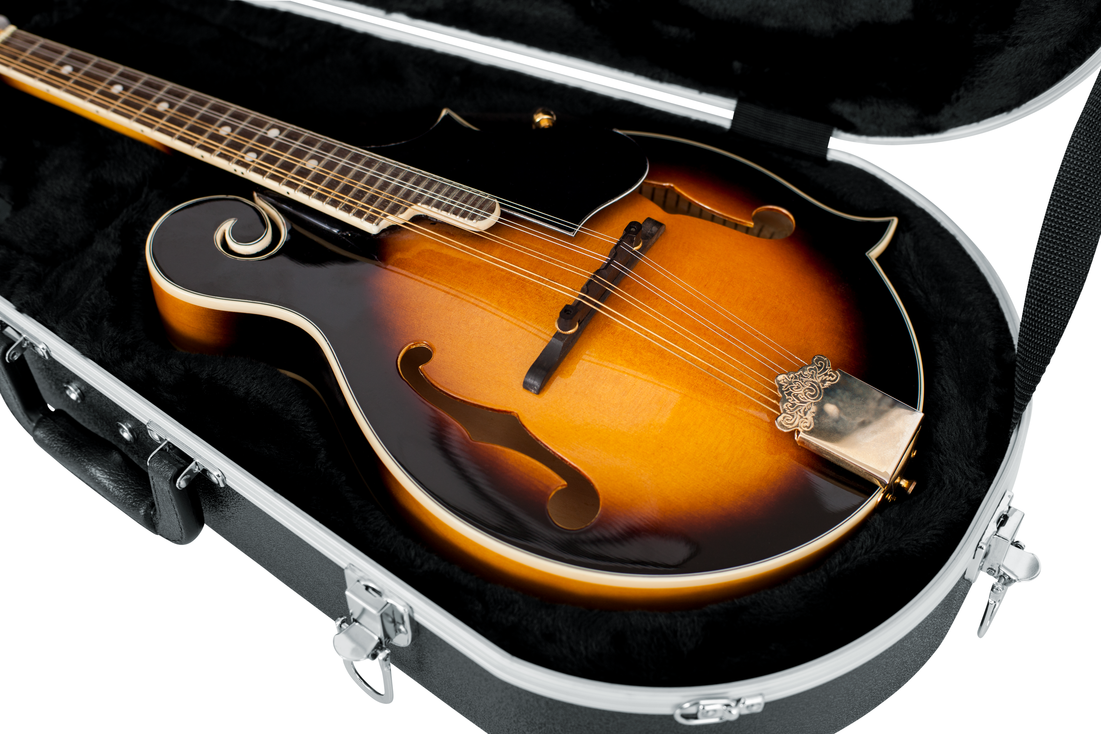 Mandolin Case