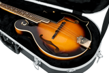 Mandolin Case