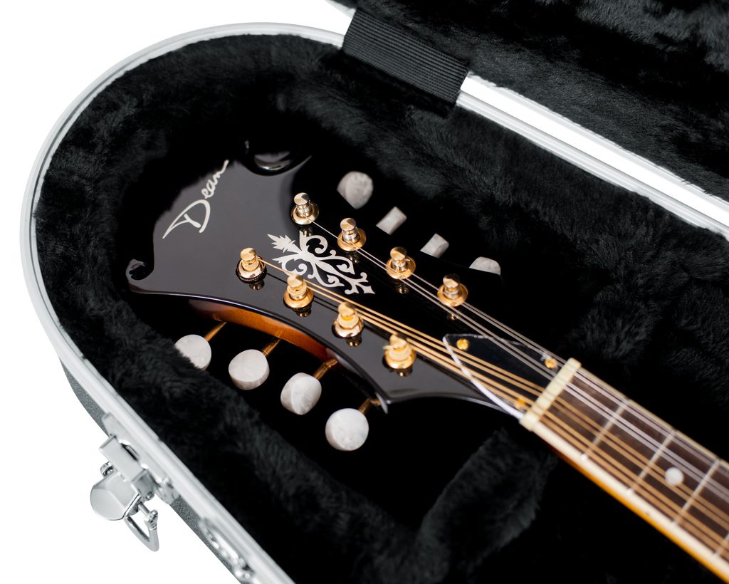 Mandolin Case