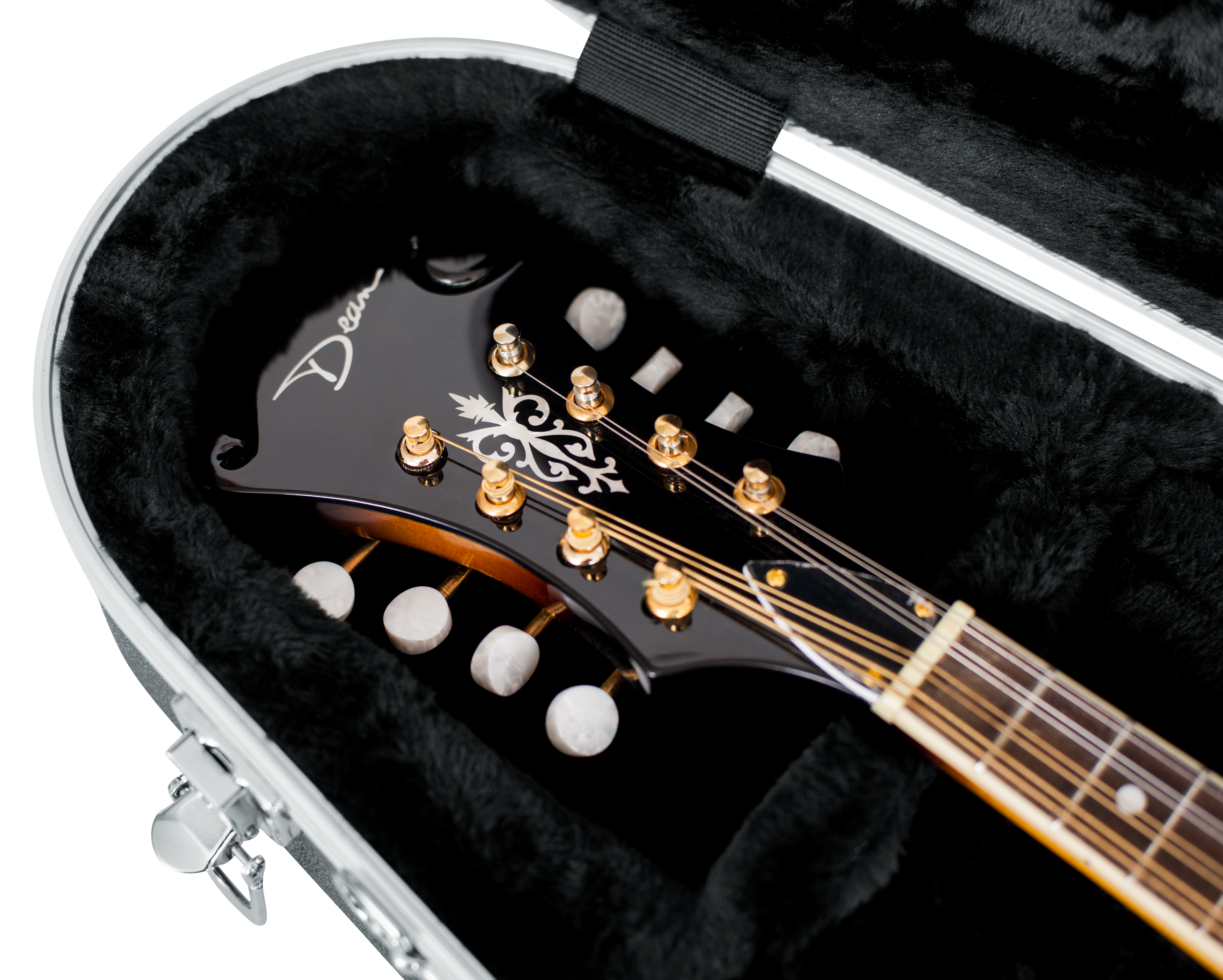 Mandolin Case
