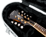 Mandolin Case
