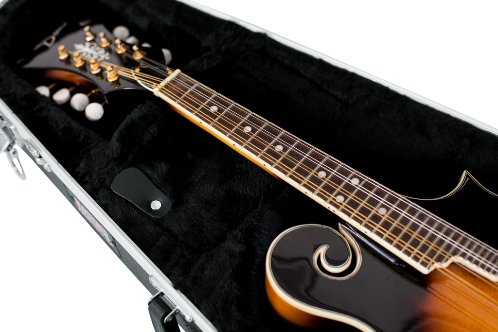 Mandolin Case