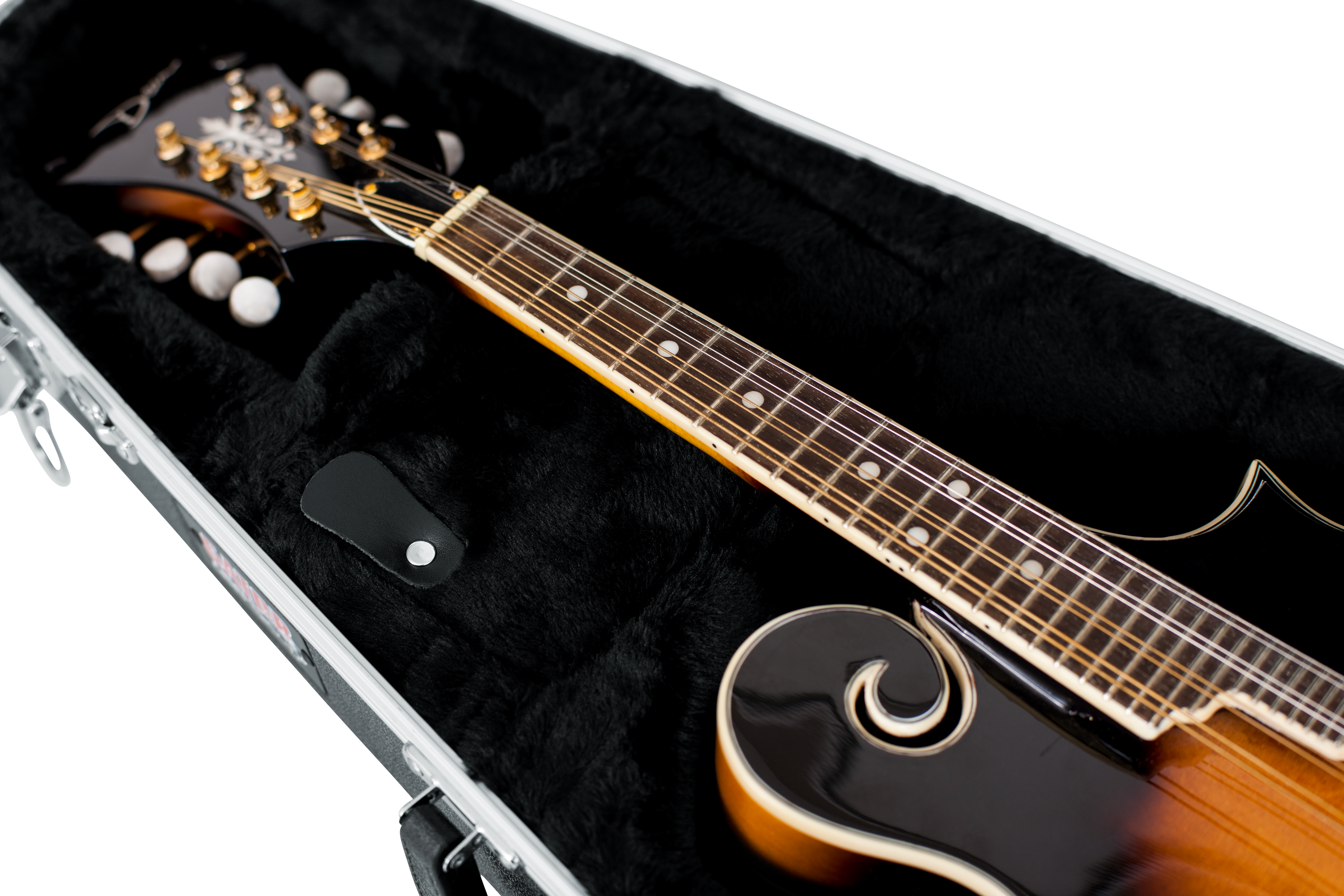 Mandolin Case