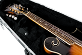 Mandolin Case