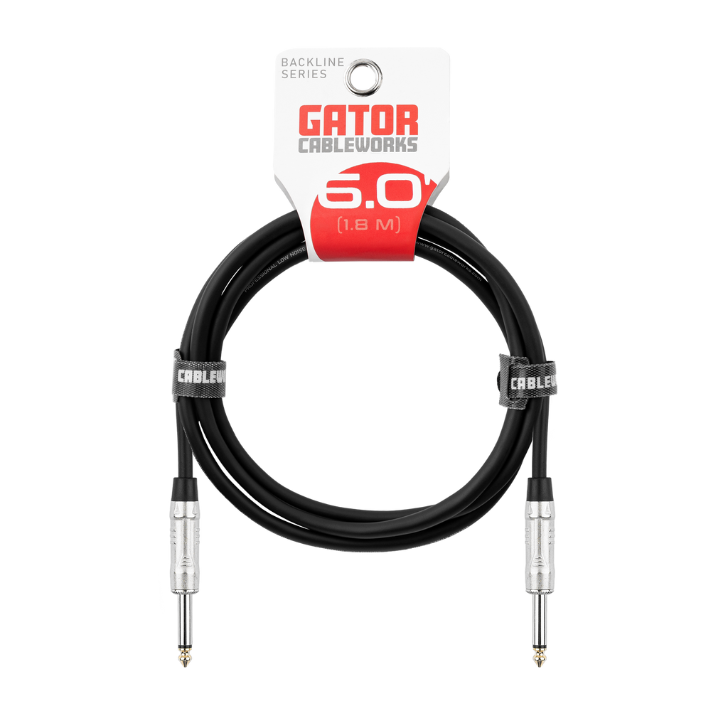 6 Foot TS Speaker Cable