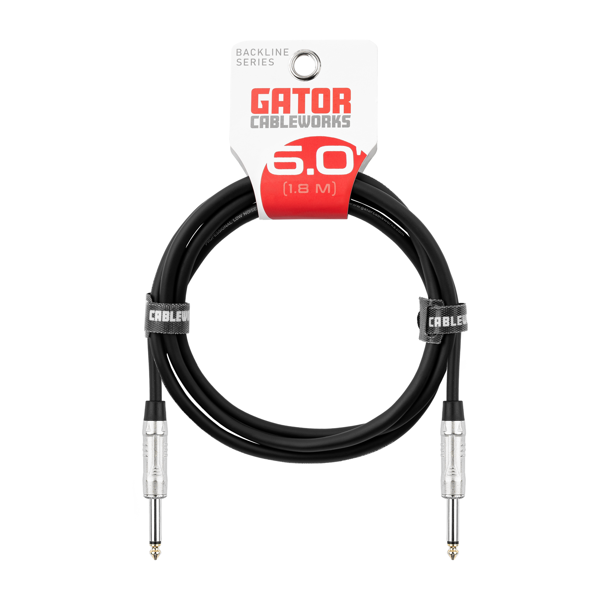 6 Foot TS Speaker Cable