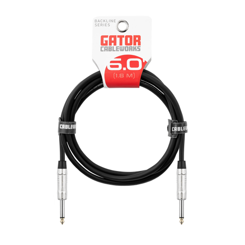 6 Foot TS Speaker Cable