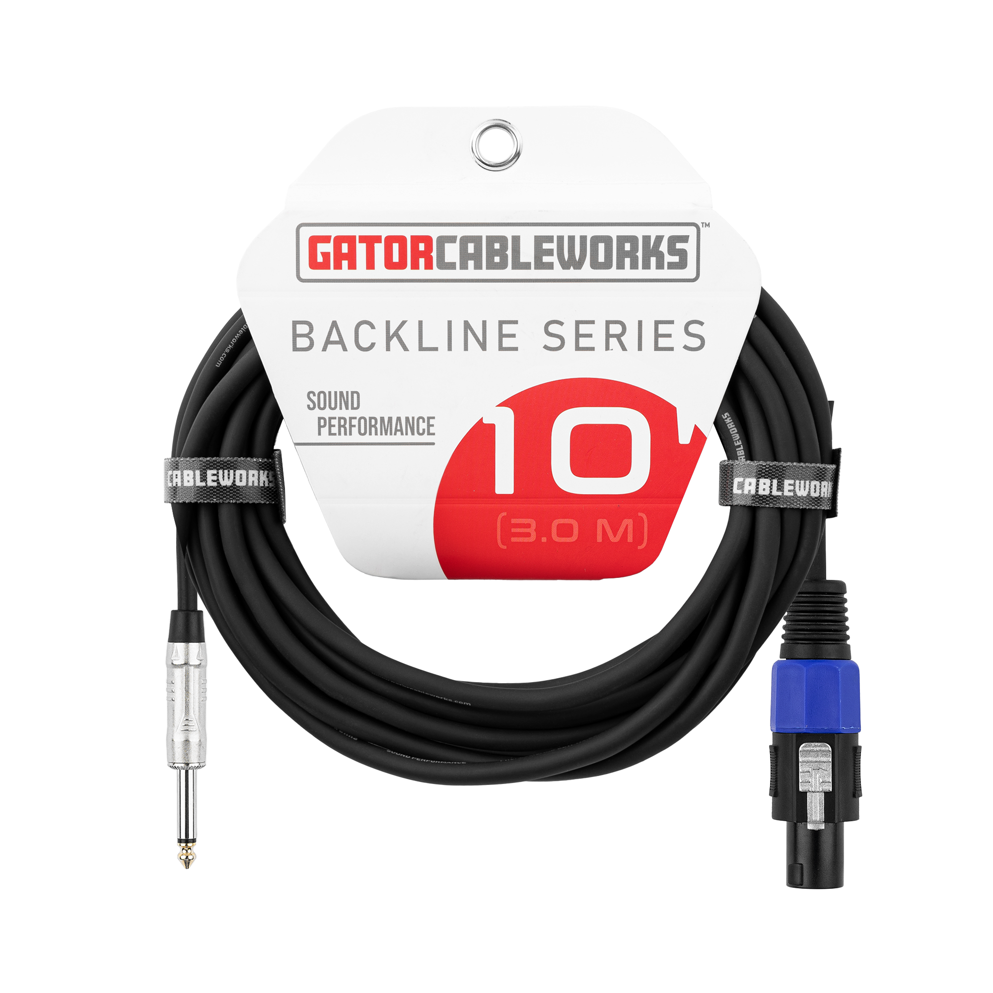 10 Foot TS to Twist Lock Connector Speaker Cable