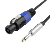 10 Foot TS to Twist Lock Connector Speaker Cable
