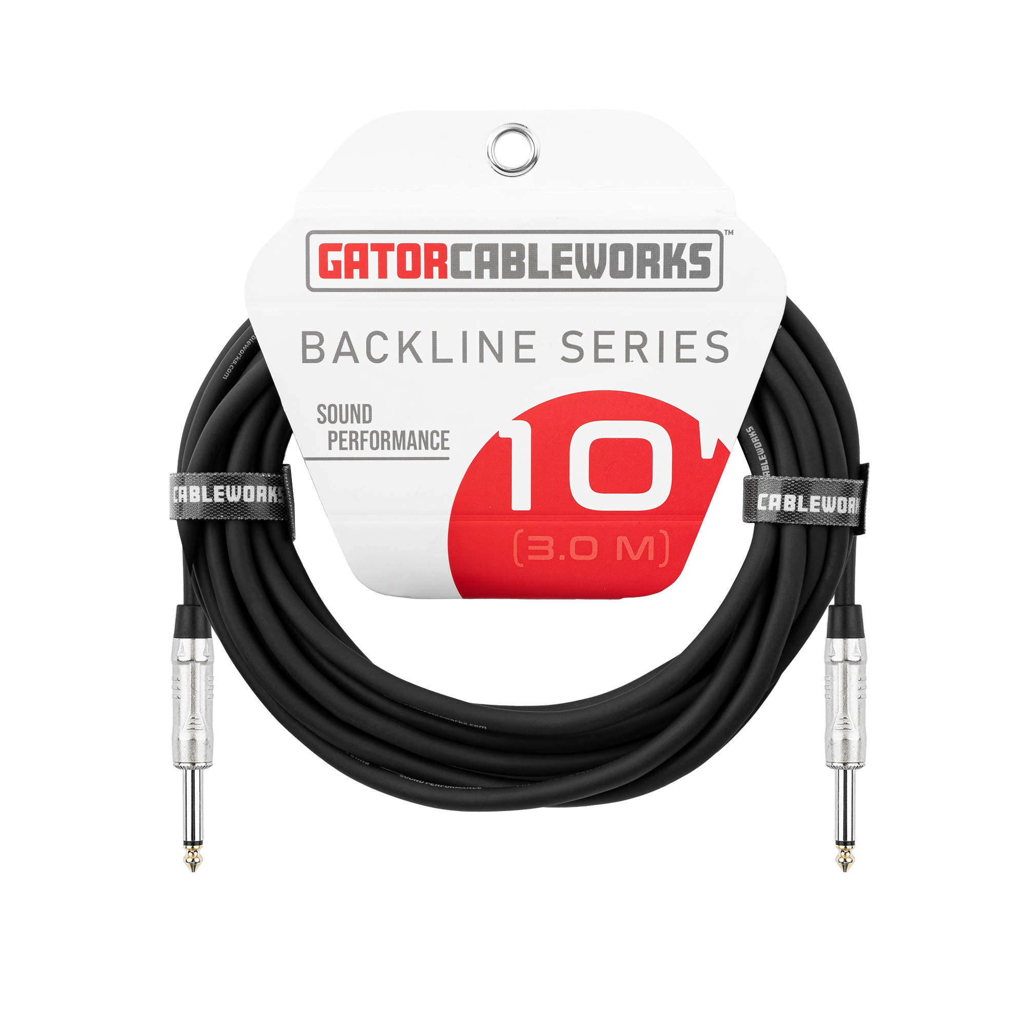 10 Foot TS Speaker Cable