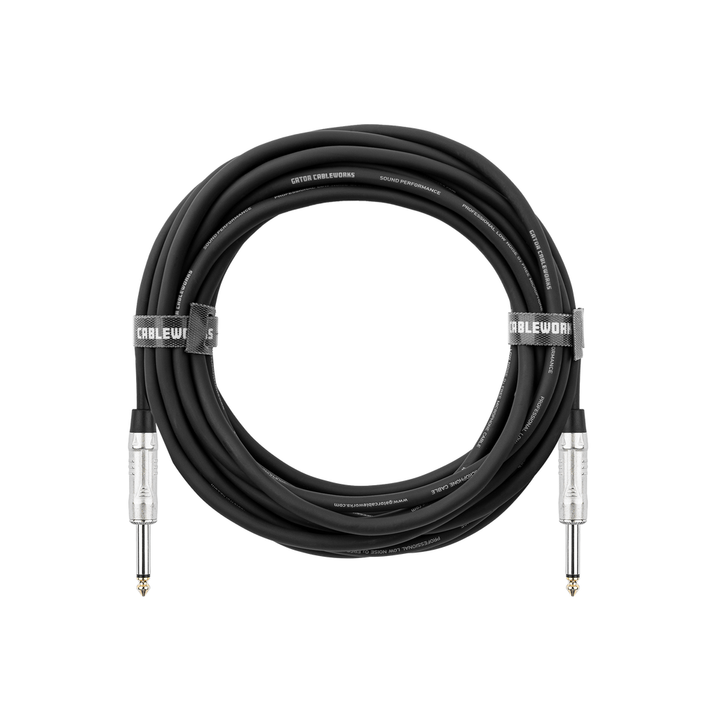 25 Foot TS Speaker Cable