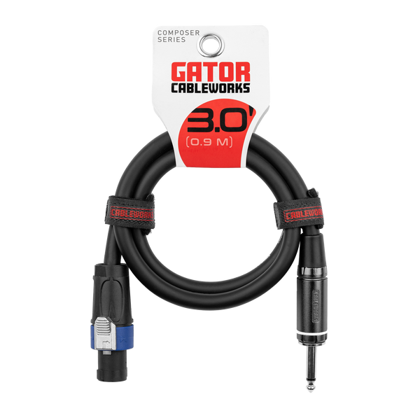 3 Foot TS to Twist Lock Connector Speaker Cable
