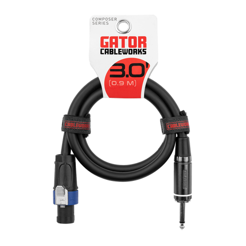 3 Foot TS to Twist Lock Connector Speaker Cable