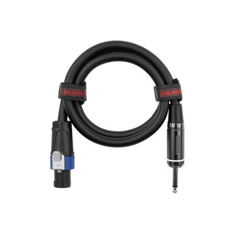 3 Foot TS to Twist Lock Connector Speaker Cable