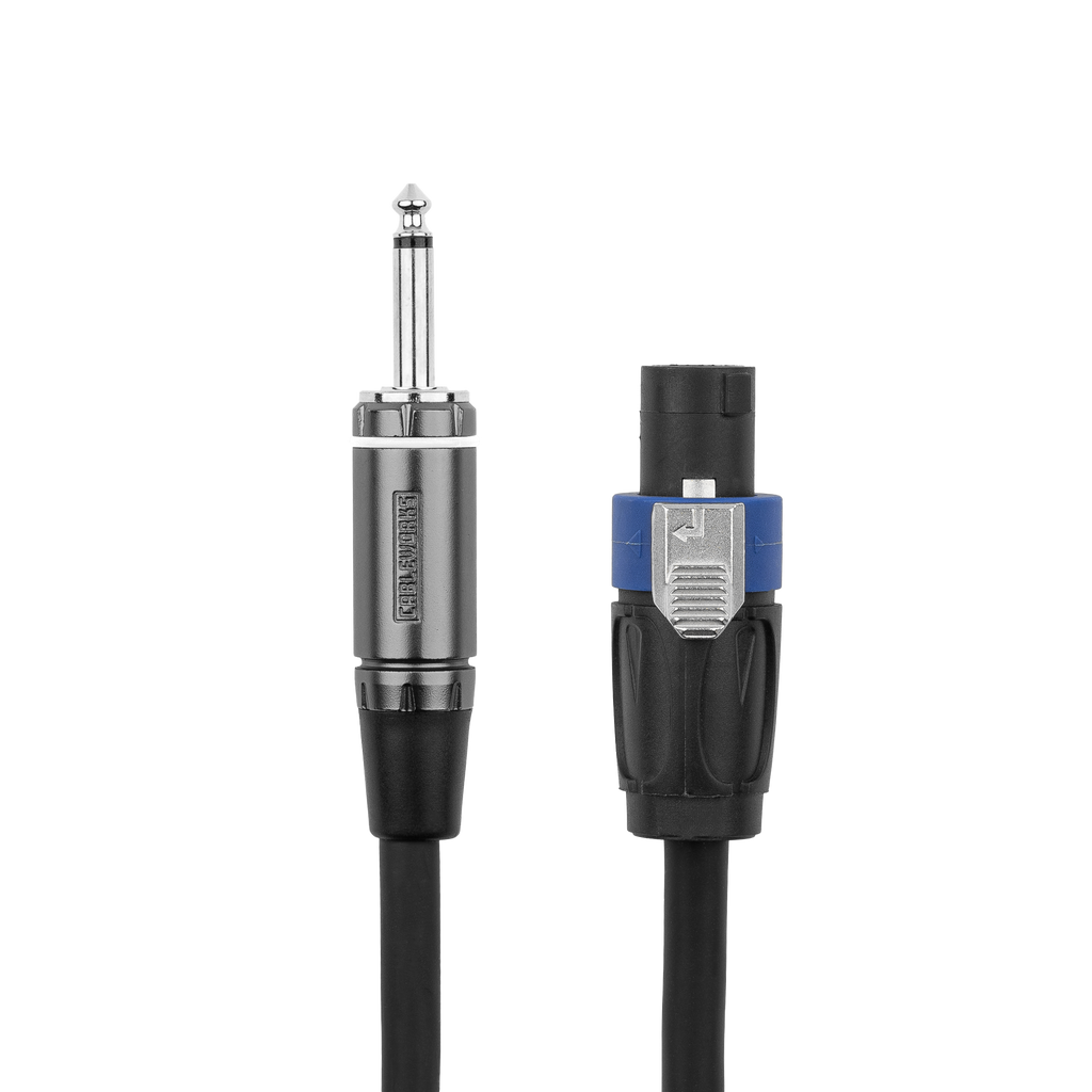 3 Foot TS to Twist Lock Connector Speaker Cable