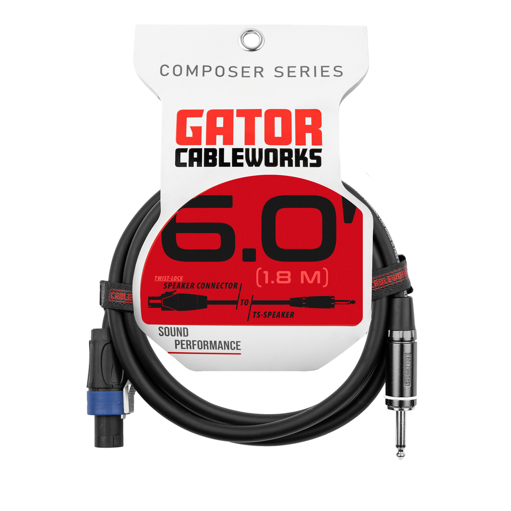 6 Foot TS to Twist Lock Connector Speaker Cable