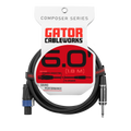 6 Foot TS to Twist Lock Connector Speaker Cable