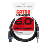 6 Foot TS to Twist Lock Connector Speaker Cable