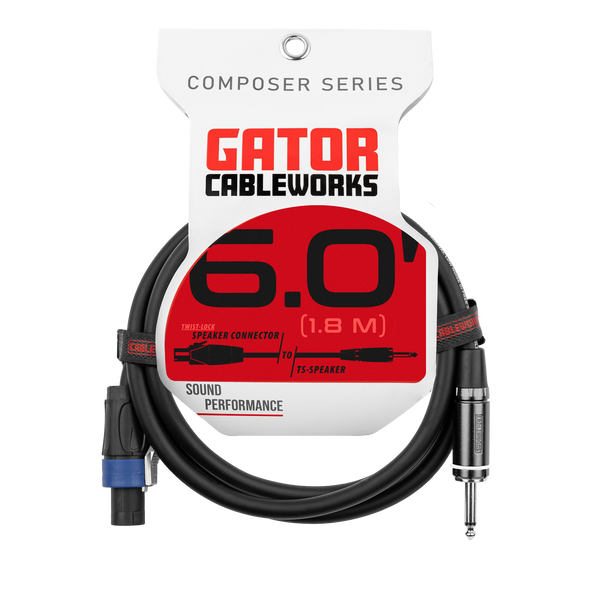 6 Foot TS to Twist Lock Connector Speaker Cable