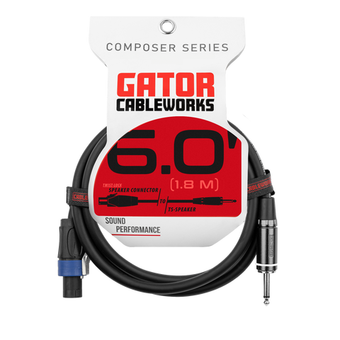 6 Foot TS to Twist Lock Connector Speaker Cable