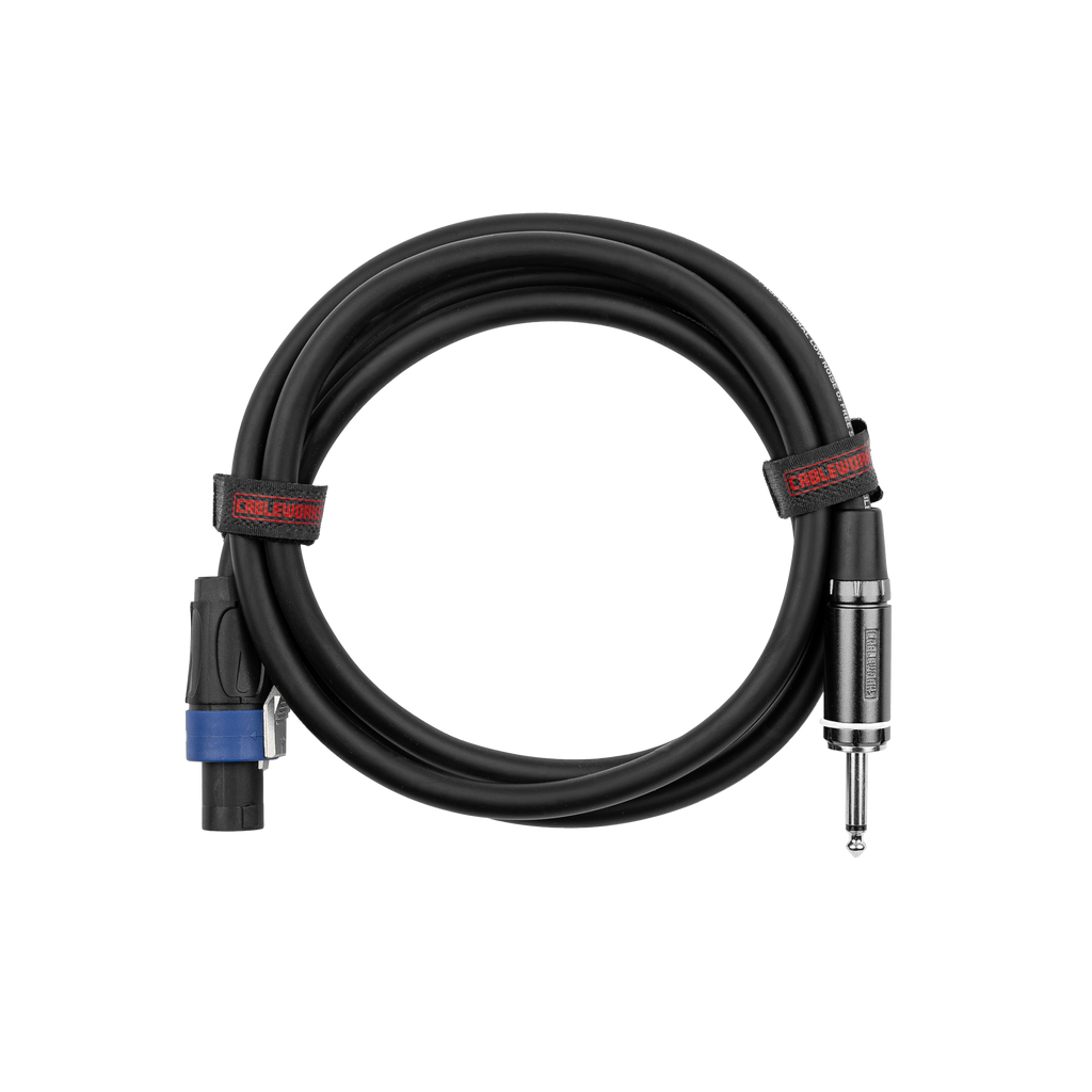 6 Foot TS to Twist Lock Connector Speaker Cable