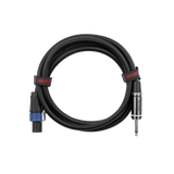 6 Foot TS to Twist Lock Connector Speaker Cable
