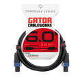 6 Foot Twist Lock Connector Speaker Cable
