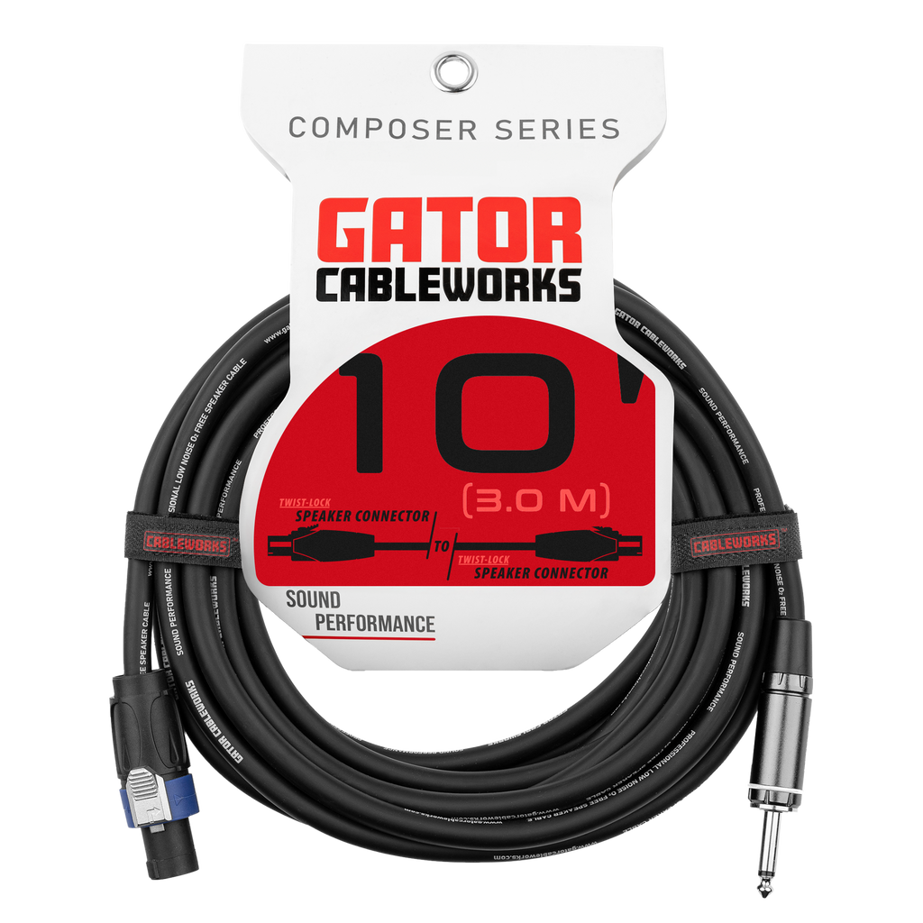 10 Foot TS to Twist Lock Connector Speaker Cable
